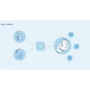 Kit Allarme WiFi + SIM 4G LTE-400 Smart Home Alexa | Sicurezza Domestica