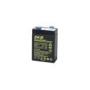 Batteria al piombo SKB 6 V 3.2 Ah verticale Faston – Backup e sicurezza