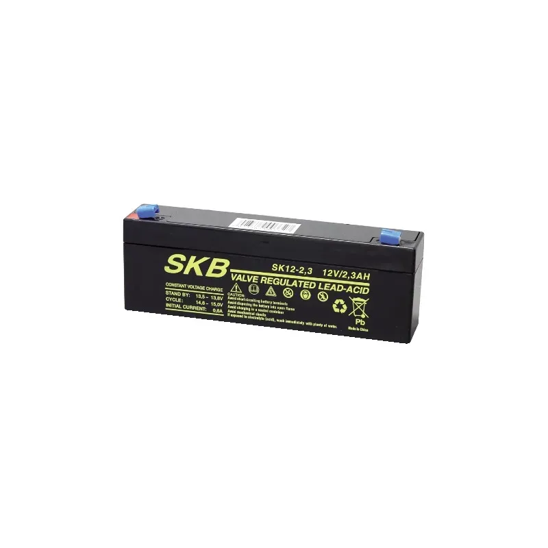 Batteria al piombo SKB 12 V 2.3 Ah Faston – Impianti di sicurezza e backup Batteria al piombo SKB 12 V 2.3 Ah Faston – Impianti di sicurezza e backup
