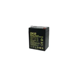 Batteria al piombo SKB 12 V 2.9 Ah Faston – Compatta per uso generale