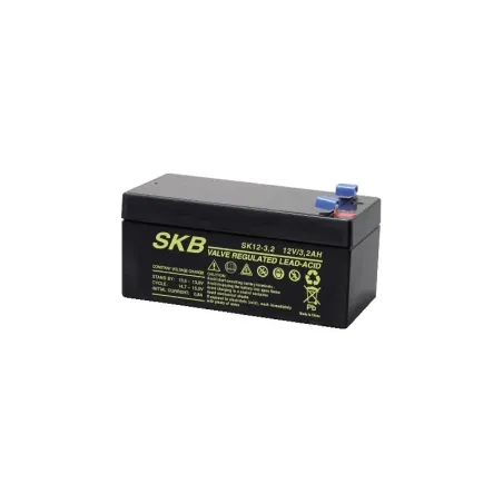 Batteria al piombo SKB 12 V 3.2 Ah Faston – Uso generale compatto
