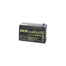 Batteria al piombo SKB 12 V 7.2 Ah Faston 6.3 mm – Sicurezza e backup