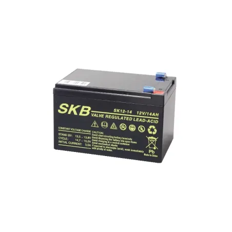 Batteria al piombo SKB 12 V 14 Ah Faston – Potenza per UPS e backup