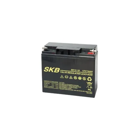 Batteria al piombo SKB 12 V 18 Ah Faston – Potenza per UPS e impianti professionali